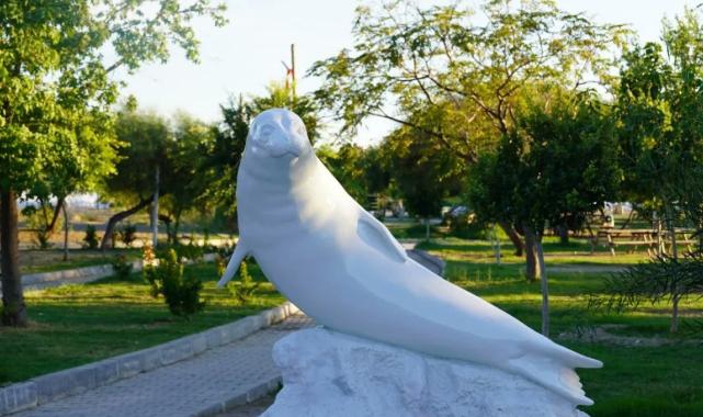 Muğla'da CHP'li belediyeden 'Akdeniz Keşiş Foku' heykeli