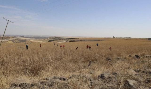 Narin Güran bulundu mu: Çalışmalar hakkında son durum