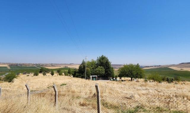 Narin Güran'ı arama çalışmalarında son durum: Mezarlıklar aranıyor