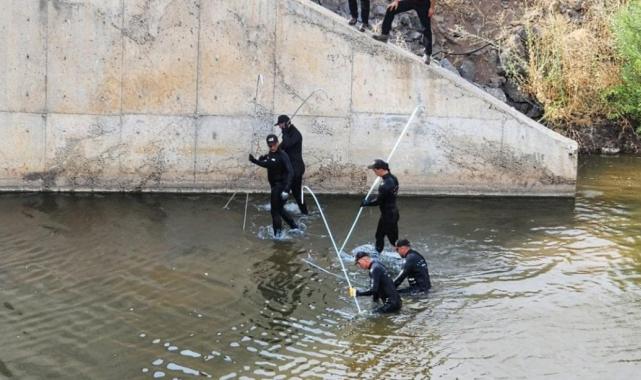 Narin'in cansız bedeninin bulunduğu alan
