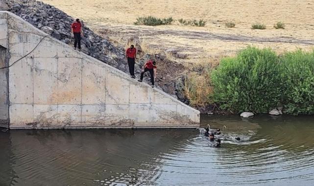 Narin'in cansız bedeninin bulunduğu alan