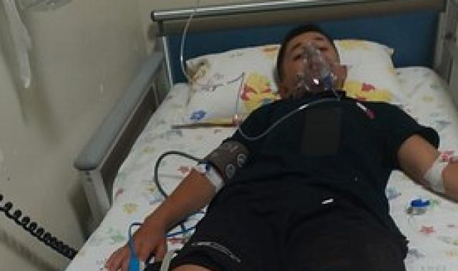 Niğde'de başıboş köpeklerin saldırdığı kadın ağır yaralandı