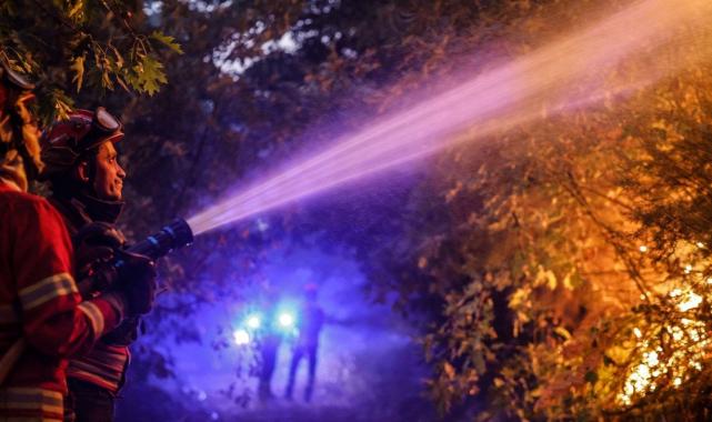 Portekiz’de orman yangınları: 7 kişi öldü, 40 kişi yaralandı