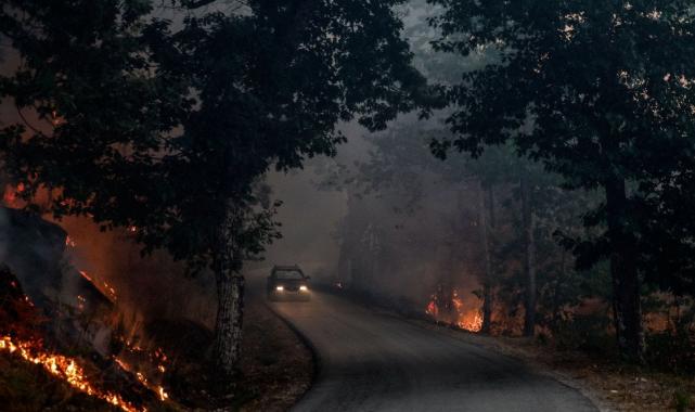 Portekiz’de orman yangınları: 7 kişi öldü, 40 kişi yaralandı