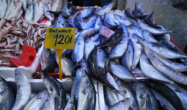 Samsun'da palamut Rusya’ya kaçtı, fiyatlar 50 TL’den 120 TL’ye çıktı