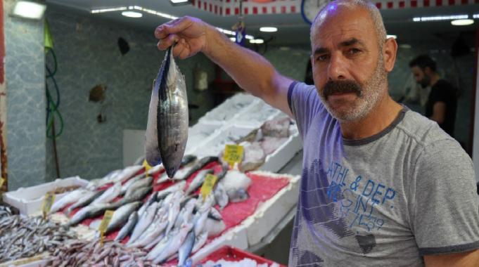 Samsun'da palamut Rusya’ya kaçtı, fiyatlar 50 TL’den 120 TL’ye çıktı