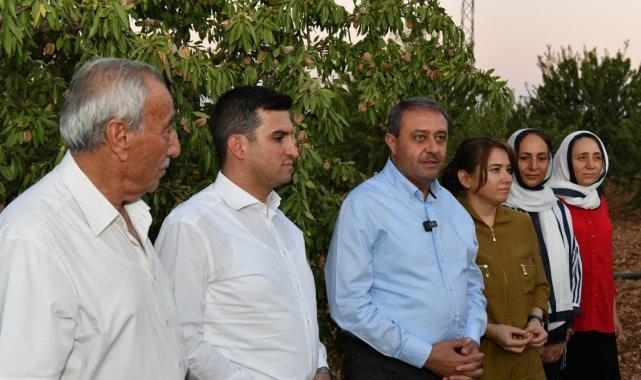 Şanlıurfa’da badem hasadındaki artış çiftçiyi memnun etti
