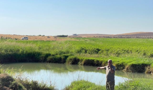 Şanlıurfa'da Harran Ovası'nda oluşan dev obruklar çiftçileri korkutuyor