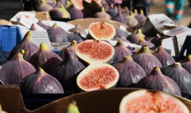 Siyah incir Bursa’nın gözbebeği