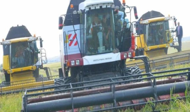 Bakan Yumaklı İpsala'da çeltik hasadında