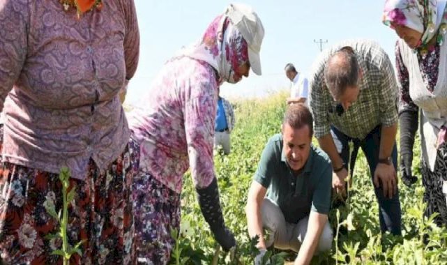 Balıkesir’de planlı kalkınma dönemi başladı
