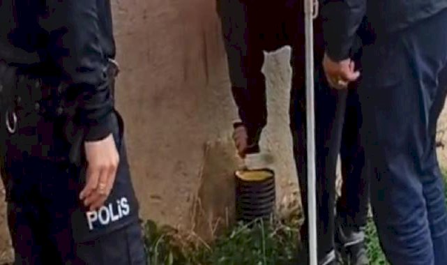 Bayburt'ta kedi kurtarma operasyonu