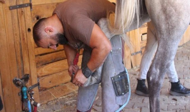 Bolu'da öğretim görevlisi boş vakitlerinde nalbantlık yapıyor