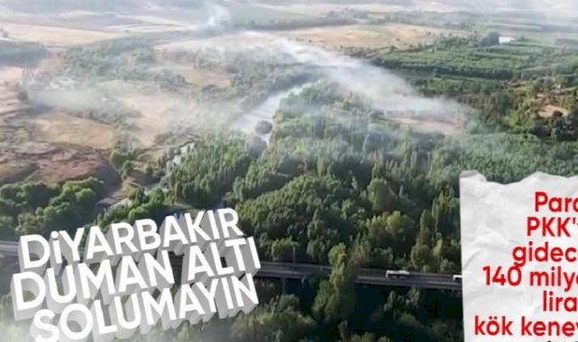 Diyarbakır'da 140 milyon TL değerinde Hint keneviri imha edildi