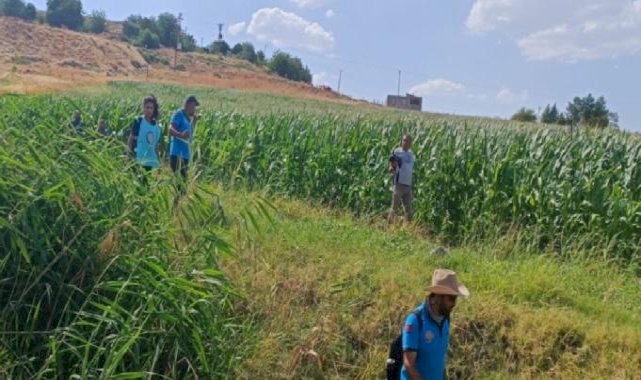 Diyarbakır'da kaybolan küçük Narin 14 gündür aranıyor