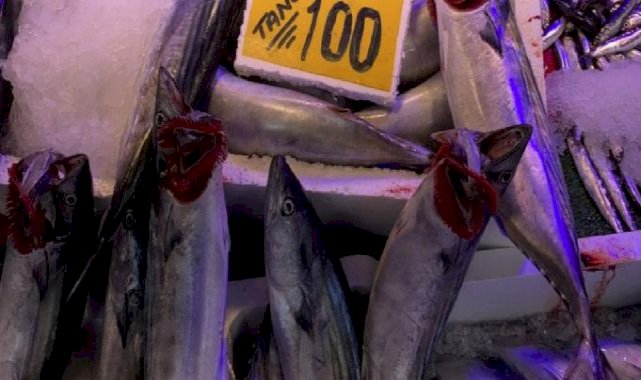 Eskişehir'de tanesi 100 liradan satılan palamuda vatandaşın ilgisi yoğun