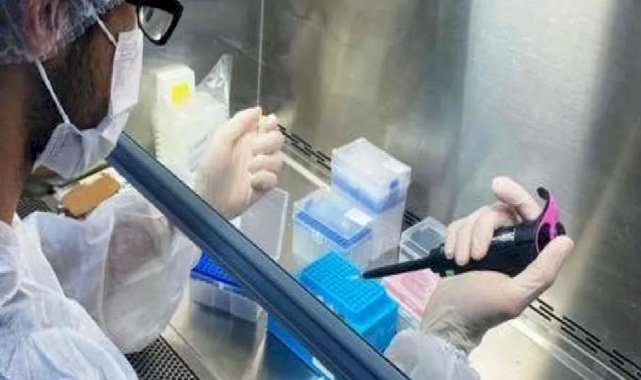 Lojistik sorunları aşılamayı aksatıyor! Taşıma aşıyla nereye kadar?