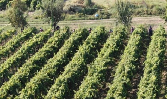 Manisa’da korkunç olay: Çiftçi öldürüldü, 2 kişi tutuklandı