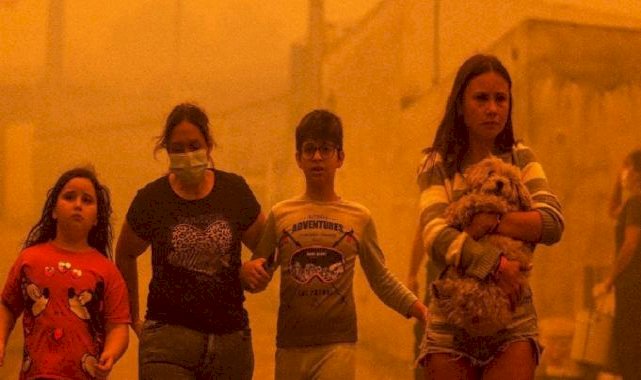 Portekiz’de orman yangınları: 7 kişi öldü, 40 kişi yaralandı