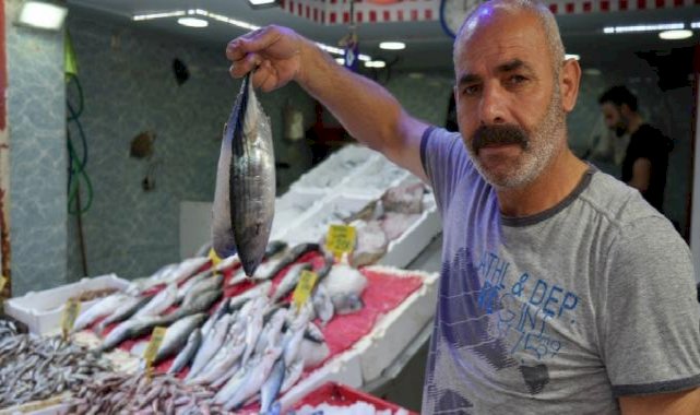 Samsun'da palamut Rusya’ya kaçtı, fiyatlar 50 TL’den 120 TL’ye çıktı