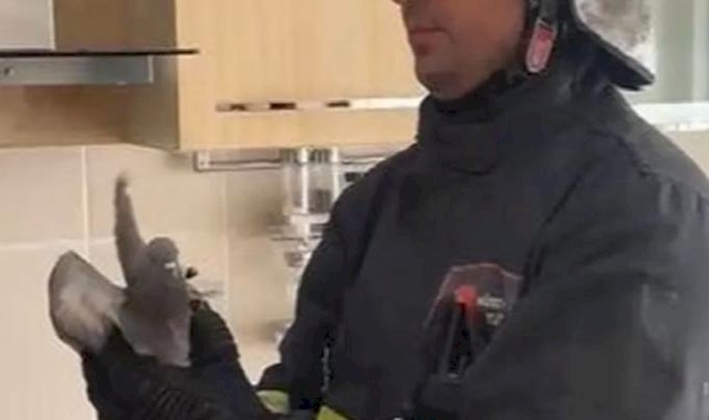 Sivas İtfaiyesi'nden güvercin operasyonu