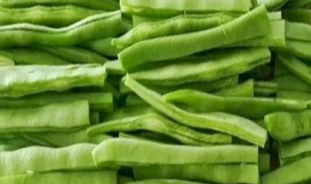 Taze fasulyede fiyatlar düşecek mi?