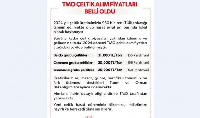 TMO açıkladı: Çeltik alım fiyatları belli oldu