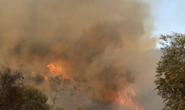 Üç ilde orman yangını: Alevler hızla yayıldı