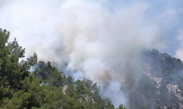 Üç ilde orman yangını: Alevler hızla yayıldı