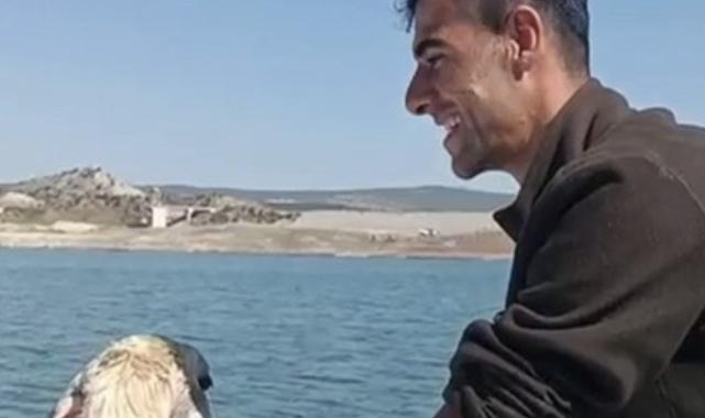 Yozgat'ta balıkçıların ağına koyun takıldı