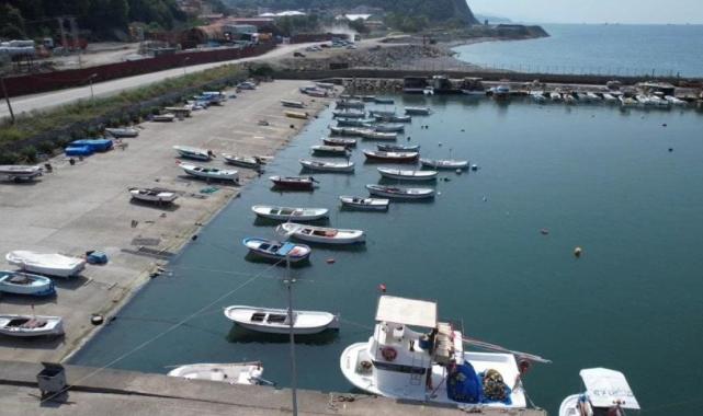 Zonguldak'ta 4 günde yakalanan 100 ton palamudun fiyatı düşüyor