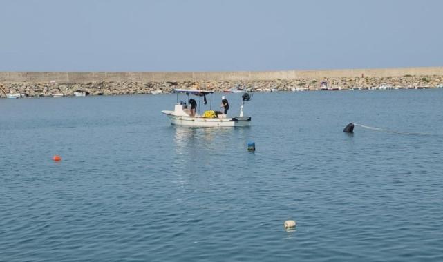 Zonguldak'ta 4 günde yakalanan 100 ton palamudun fiyatı düşüyor