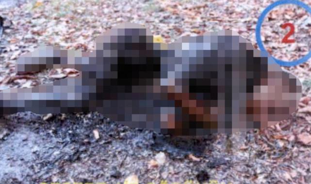 Zonguldak'ta yakılan Afgan madenciyle ilgili bilimsel mütalaa raporu