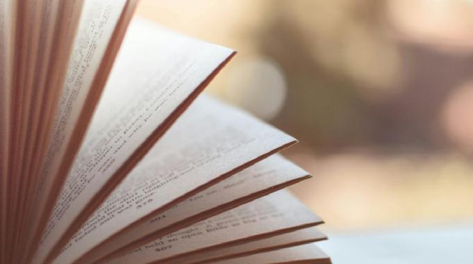 28 Ekim 2024 Pazartesi: Vitrindeki kitaplar