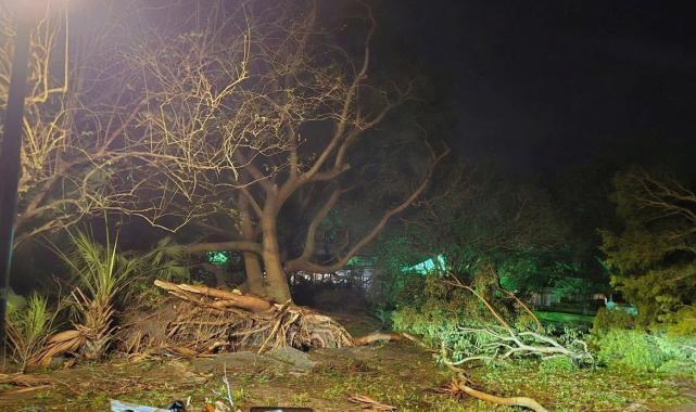 ABD'de etkisini gösteren Milton kasırgasının maliyeti belirlendi