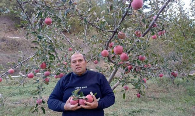 Adana’da zirveye kar yağınca elma hasadı erkene çekildi