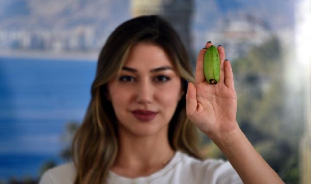 Alanya muzuna 'parmak' ile 'kırmızı' türü eklendi