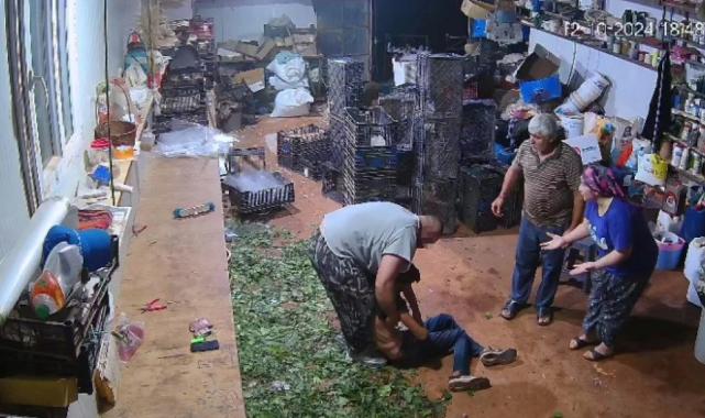 Antalya'da tek yumrukta komalık etti