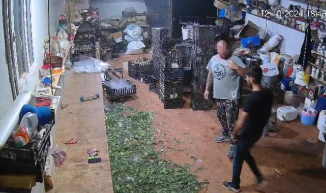 Antalya'da tek yumrukta komalık etti