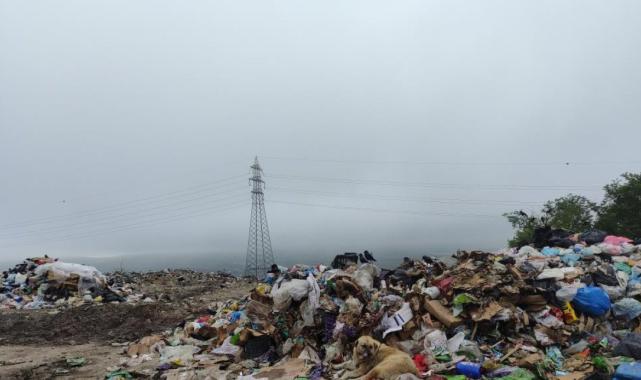 Ardahan'da çöp yığınları tarım arazilerine dağıldı