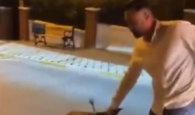 Aydın'da şehri istila eden domuzlarla dalga geçti