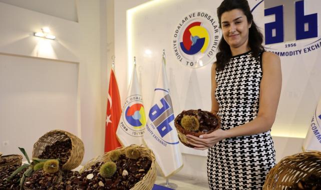 Aydın’da sezonun ilk kestanesinin kilosu 500 TL’den satıldı