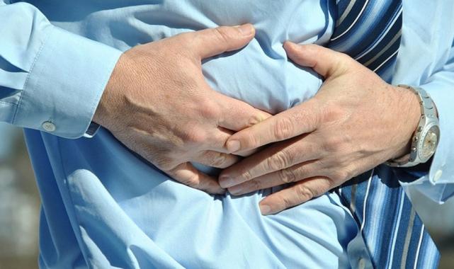 Bağırsak dostu besinler