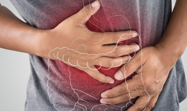 Bağırsak dostu besinler