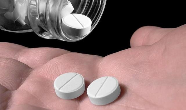 Bağırsak dostu besinler