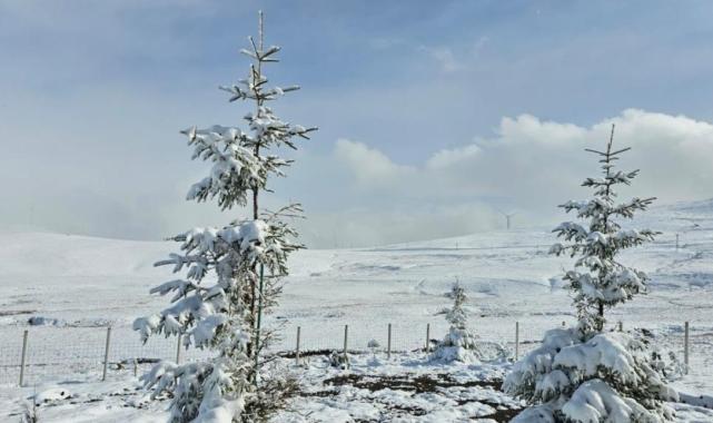 Bayburt'un köylerinde kar yağışı