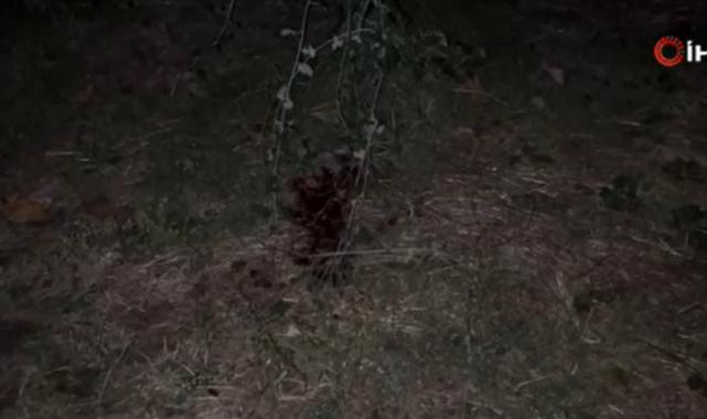 Bursa'da çocukların bıçaklı  kavgası: 1 ölü