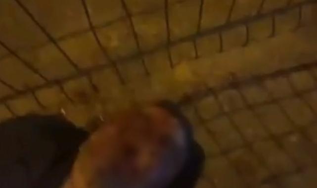 Bursa'da iş ortağını öldüren şahıstan şaşkına çeviren savunma: Normalde karıncayı bile incitmem