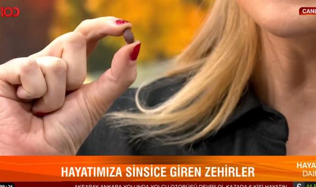 Cansu Canan sordu, uzmanı anlattı: Sahte zeytin ve zeytinyağı nasıl anlaşılır?