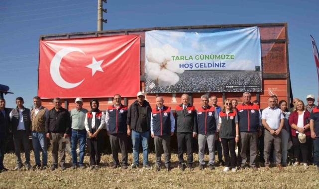Denizli’de pamuk hasadı başladı
